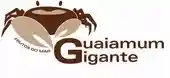 guaiamumgigante.com